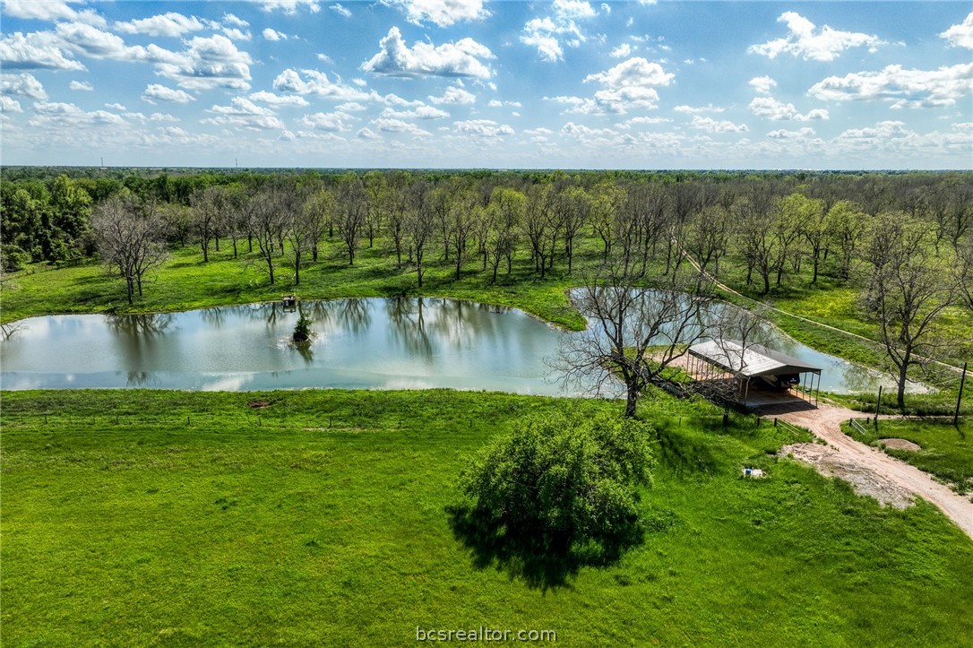 42493 Fm 1458 Road Property Photo 8