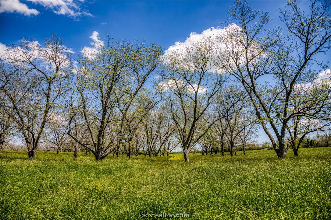 42493 Fm 1458 Road Property Photo 13