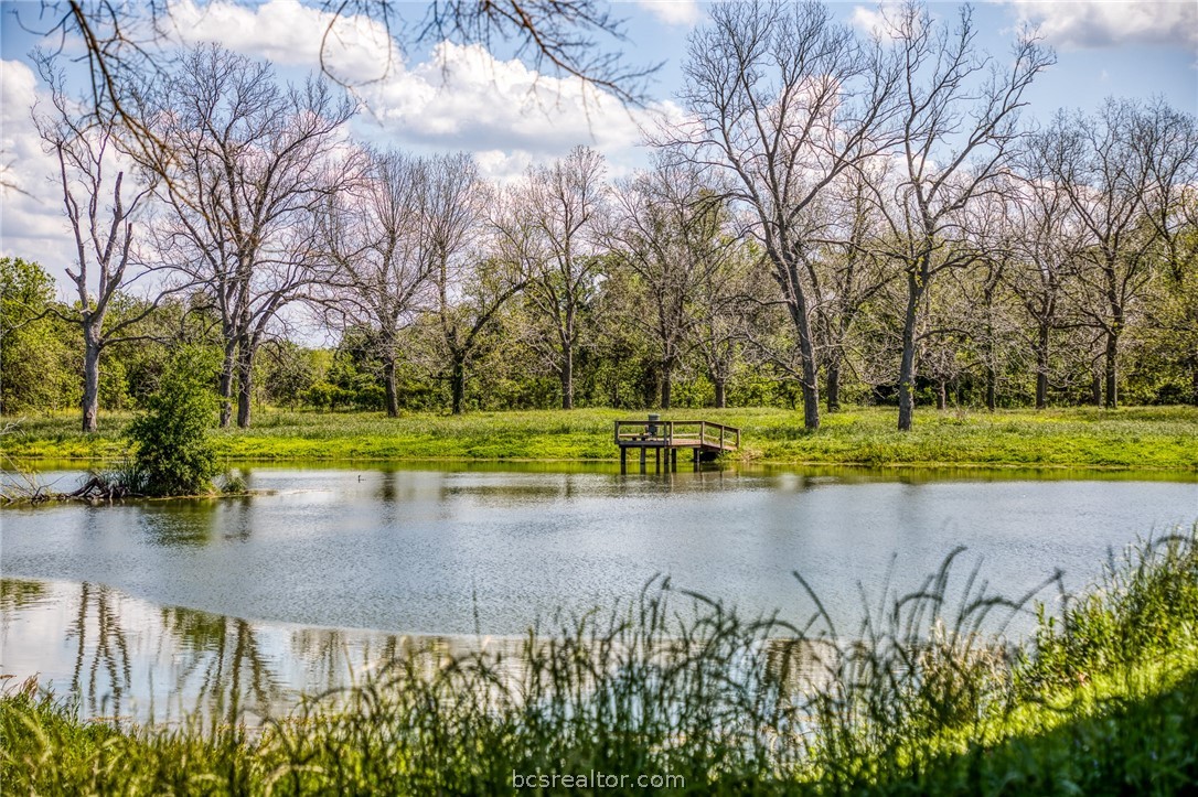 42493 Fm 1458 Road Property Photo 14