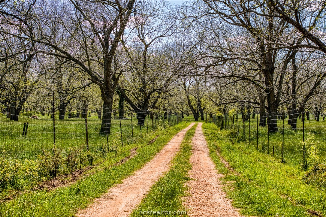 42493 Fm 1458 Road Property Photo 16