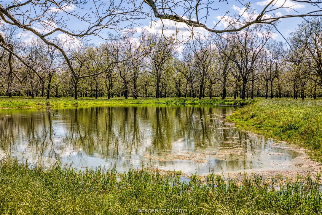 42493 Fm 1458 Road Property Photo 17