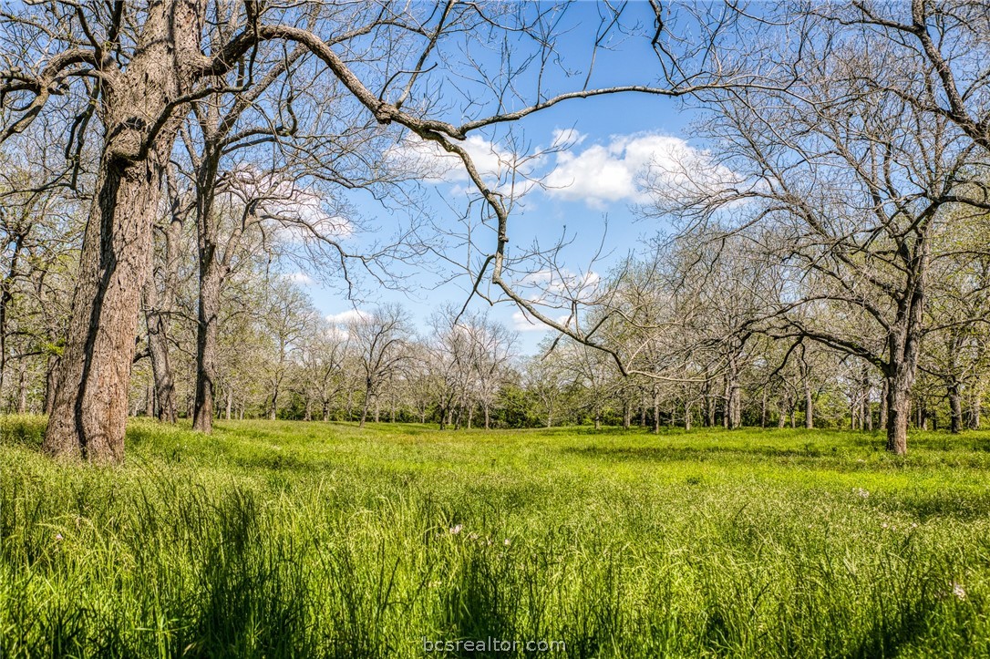 42493 Fm 1458 Road Property Photo 18