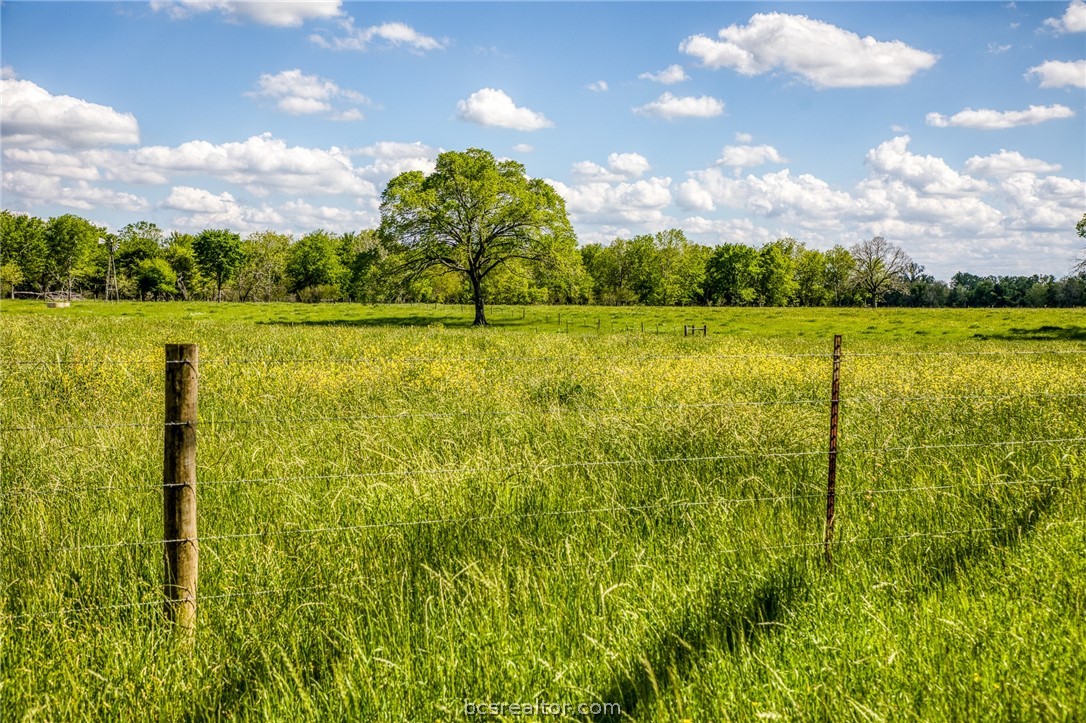 42493 Fm 1458 Road Property Photo 19