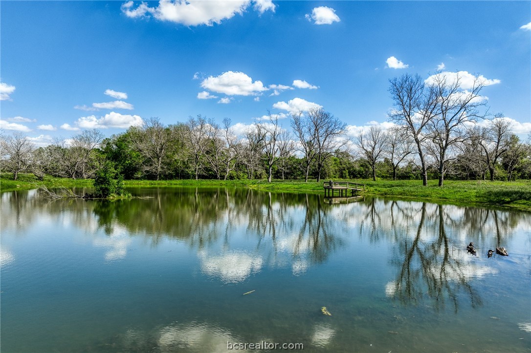 42493 Fm 1458 Road Property Photo 22