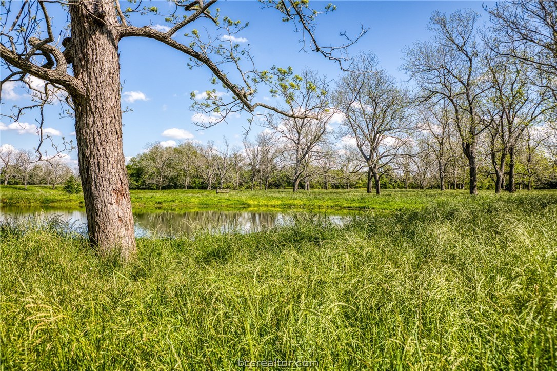 42493 Fm 1458 Road Property Photo 23