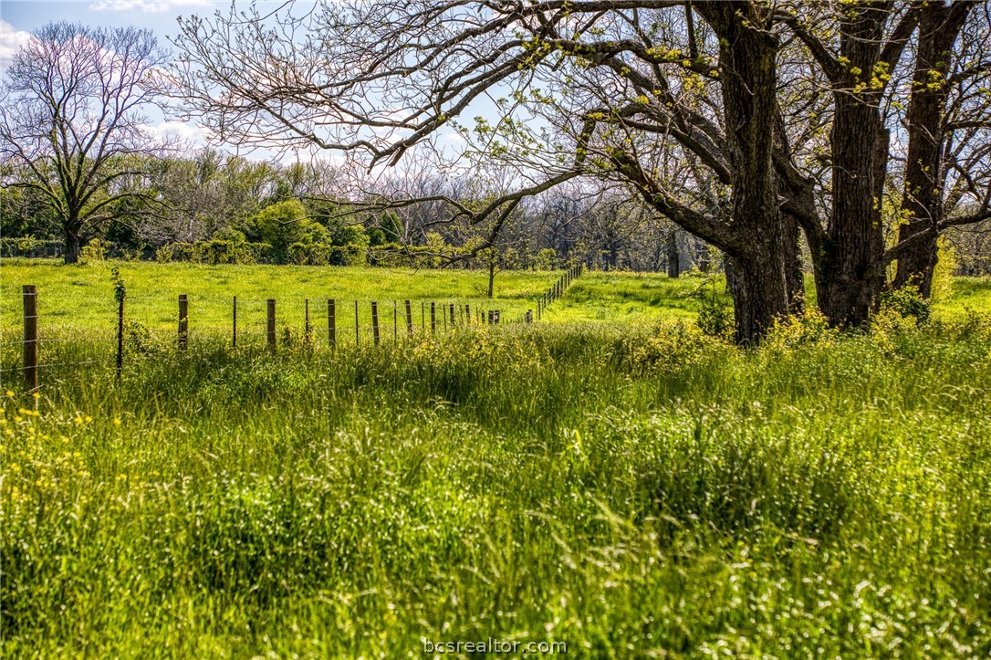 42493 Fm 1458 Road Property Photo 27