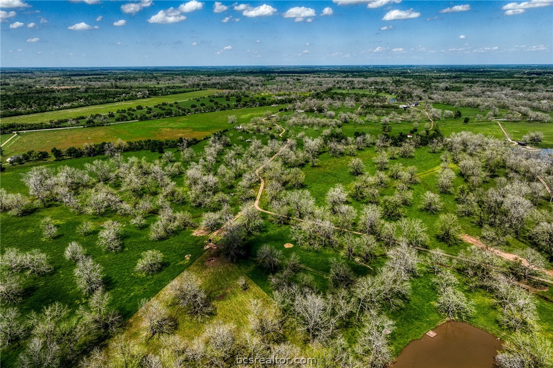 42493 Fm 1458 Road Property Photo 29