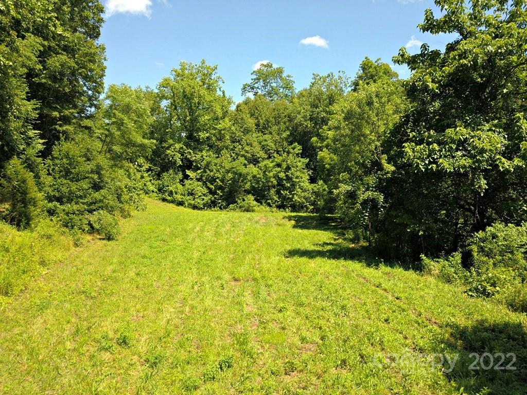 115 Haywood Road Property Photo 10