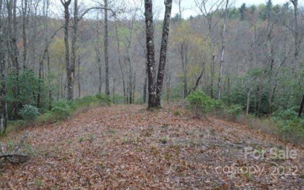 Lot 114 Pickens Highway Property Photo