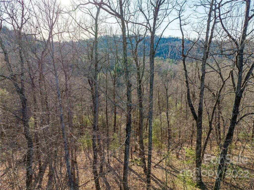 Lot 395 Roaring Fork Lane Property Photo 1