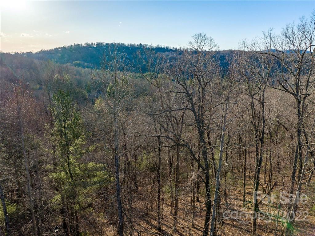 Lot 395 Roaring Fork Lane Property Photo 2