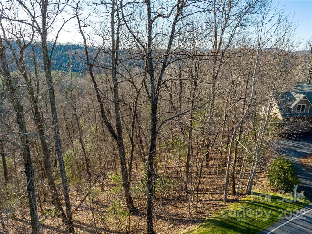 Lot 395 Roaring Fork Lane Property Photo 4