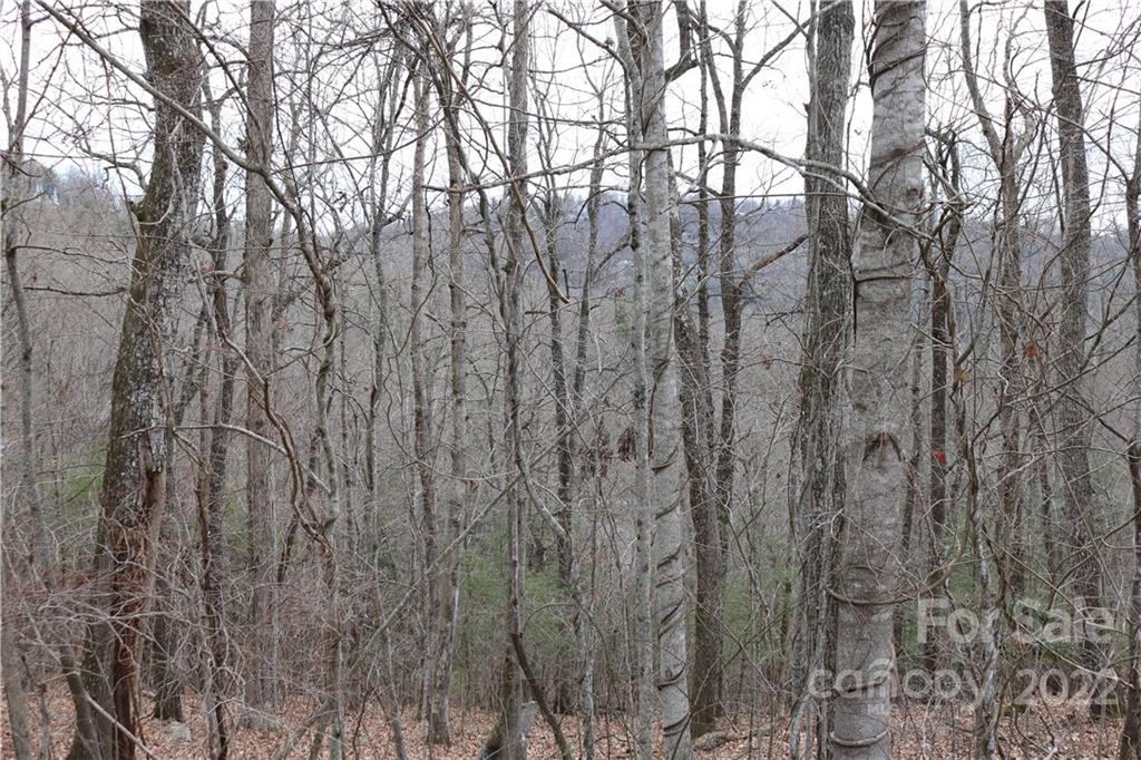 Lot 395 Roaring Fork Lane Property Photo 6