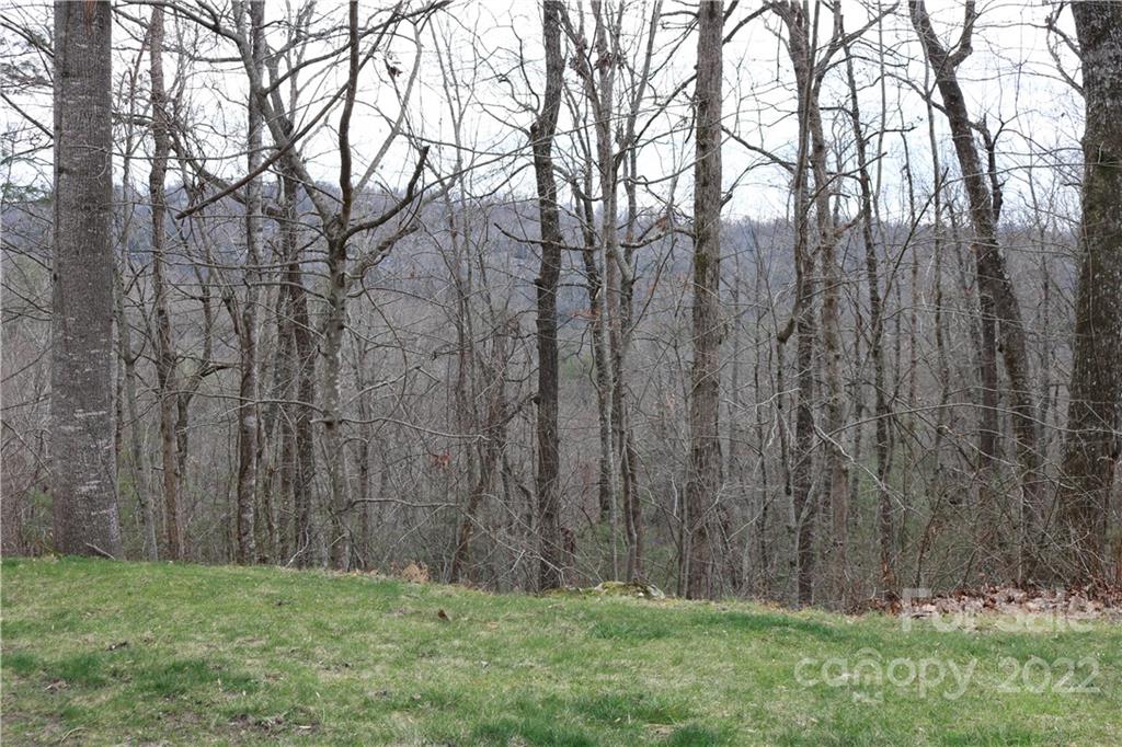 Lot 395 Roaring Fork Lane Property Photo 7