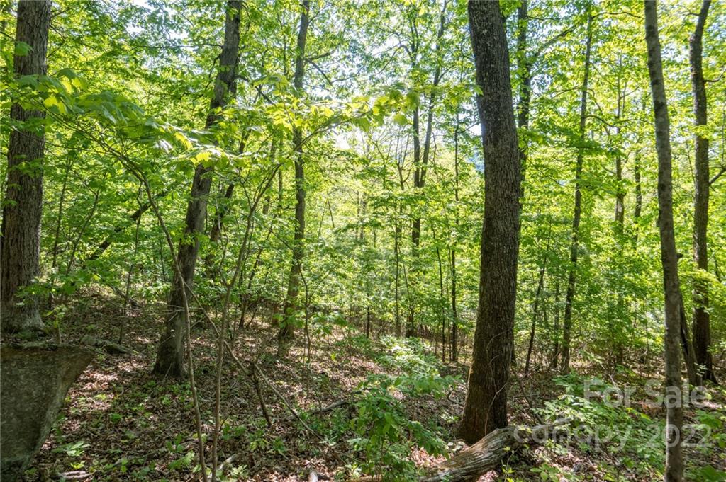 Lot 395 Roaring Fork Lane Property Photo 18