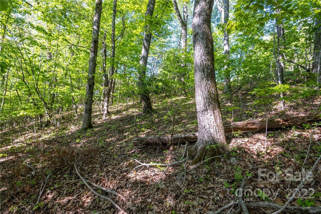 Lot 395 Roaring Fork Lane Property Photo 19