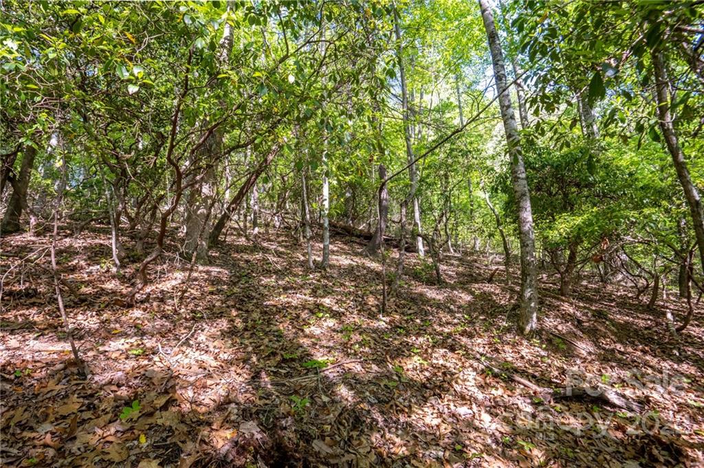 Lot 395 Roaring Fork Lane Property Photo 20