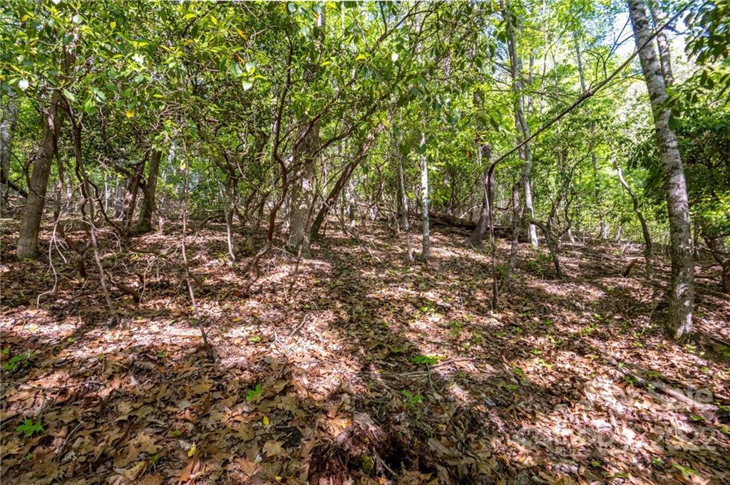 Lot 395 Roaring Fork Lane Property Photo 21