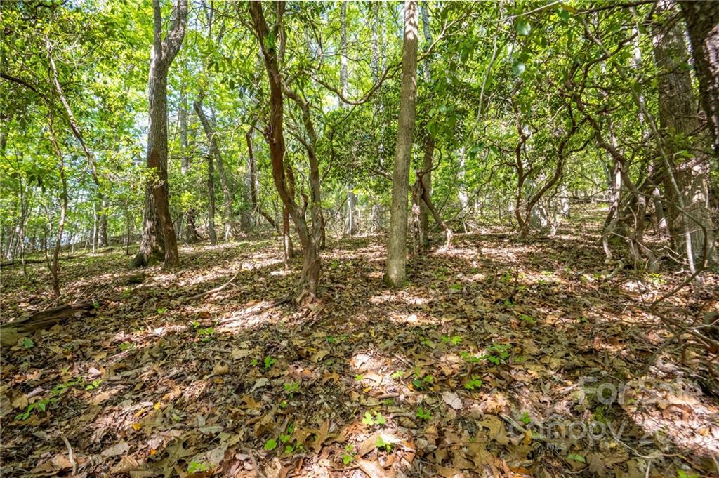 Lot 395 Roaring Fork Lane Property Photo 22