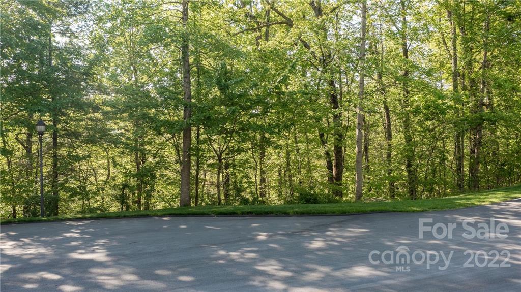 Lot 395 Roaring Fork Lane Property Photo 23