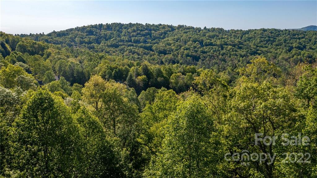 Lot 395 Roaring Fork Lane Property Photo 24