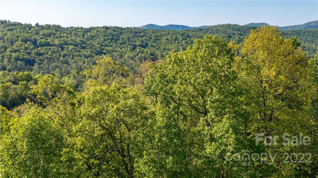 Lot 395 Roaring Fork Lane Property Photo 25