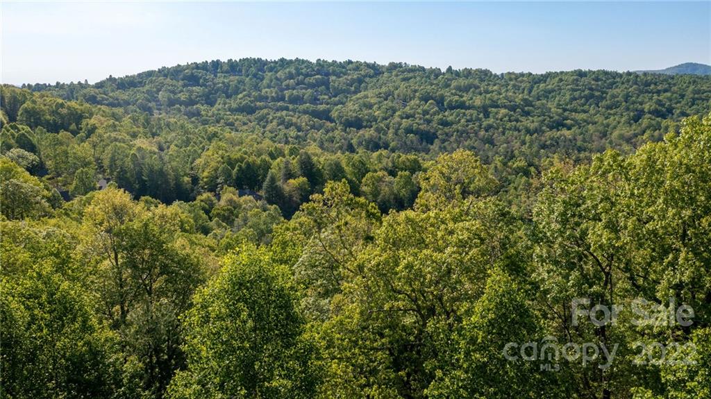 Lot 395 Roaring Fork Lane Property Photo 29