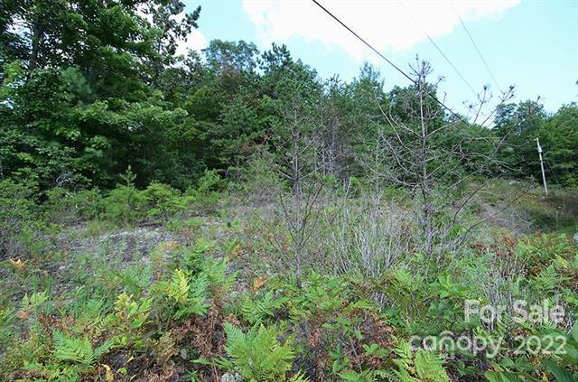 Lot 32g Sequoyah Circle 32g Property Photo 1