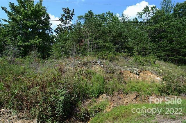 Lot 32g Sequoyah Circle 32g Property Photo 2