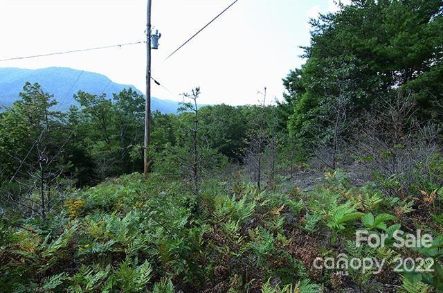 Lot 32g Sequoyah Circle 32g Property Photo 3