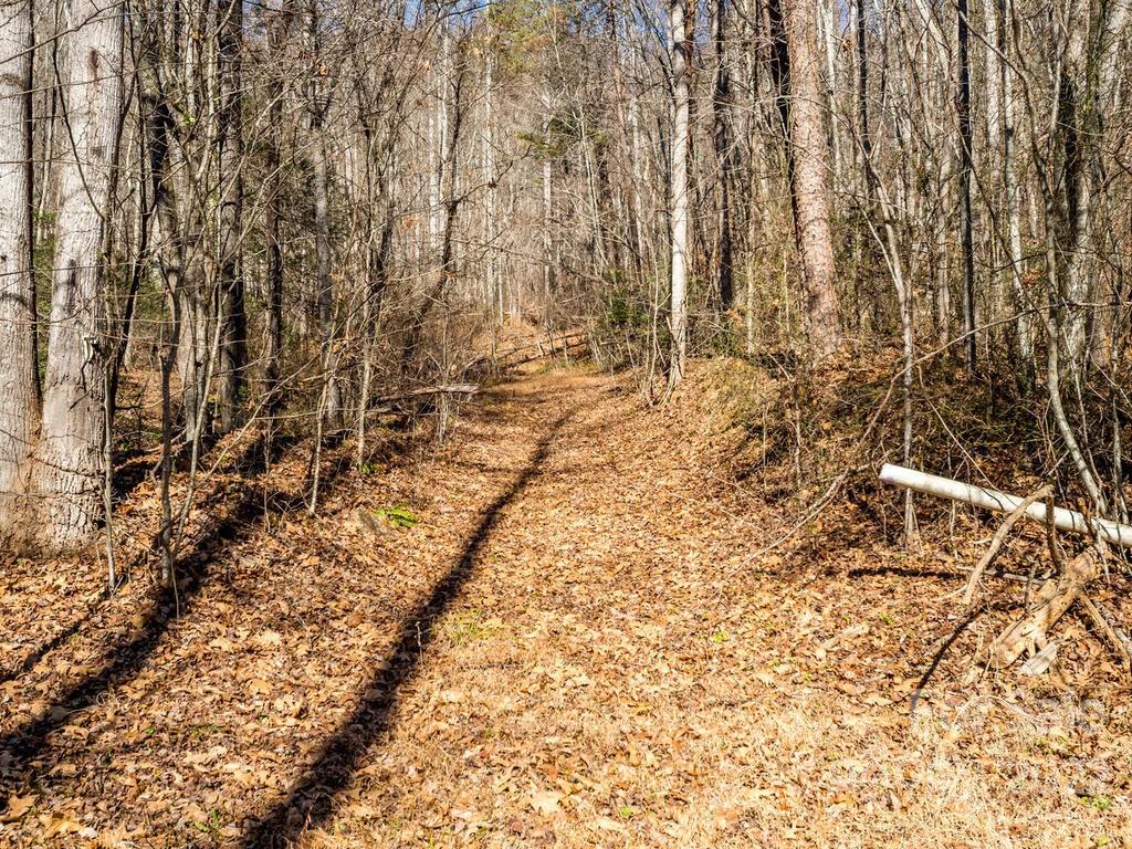 6 Tylers Run 12 Property Photo 27
