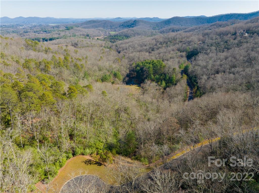 000 Mills River Way 101 Property Photo 2
