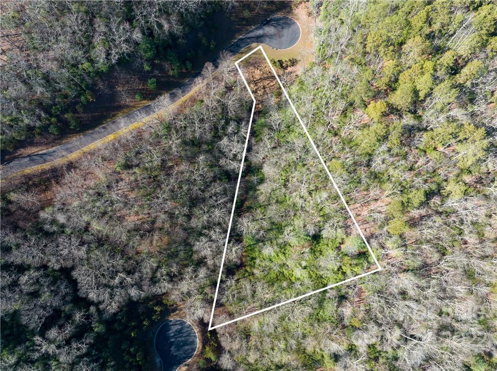 000 Mills River Way 101 Property Photo 3