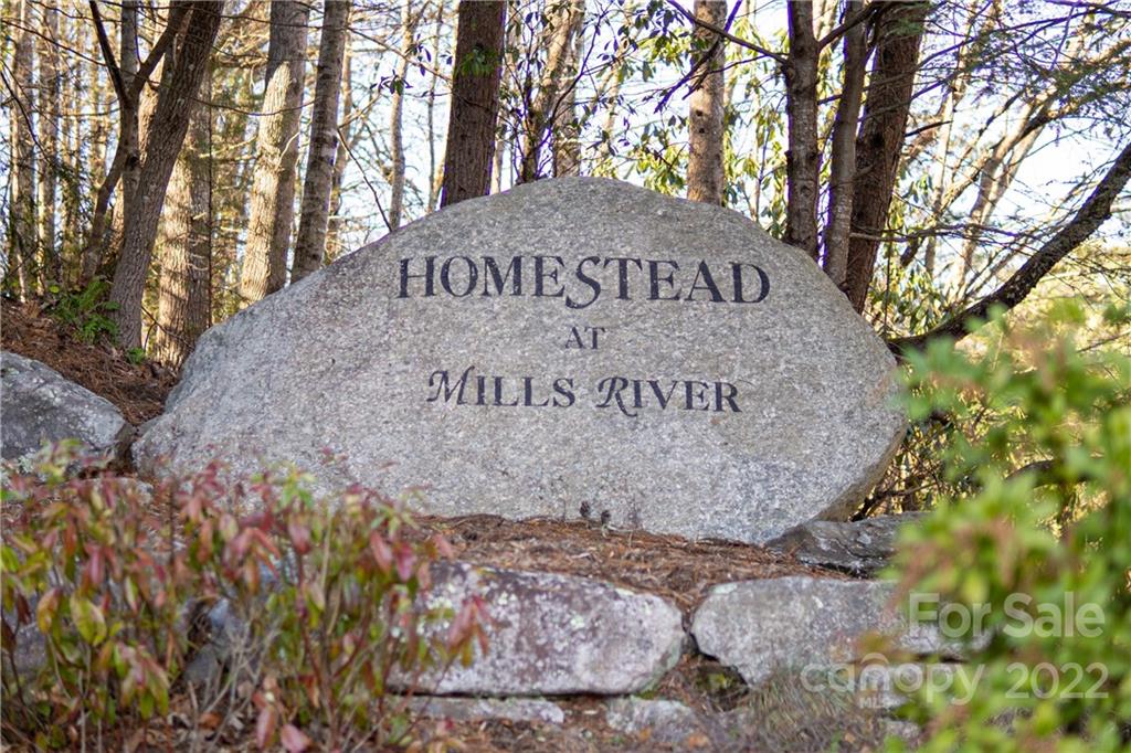 000 Mills River Way 101 Property Photo 4