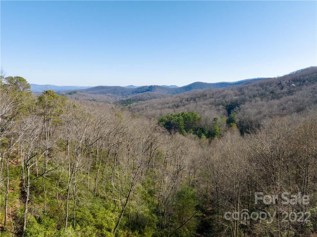 000 Mills River Way 101 Property Photo 7