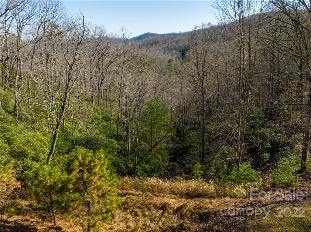 000 Mills River Way 101 Property Photo 8