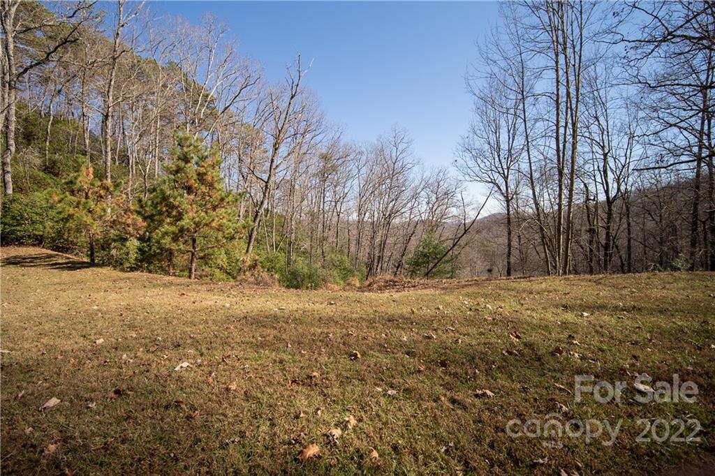 000 Mills River Way 101 Property Photo 10