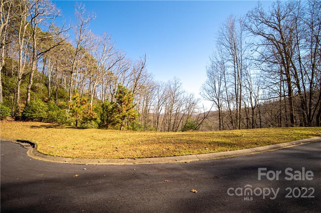 000 Mills River Way 101 Property Photo 11