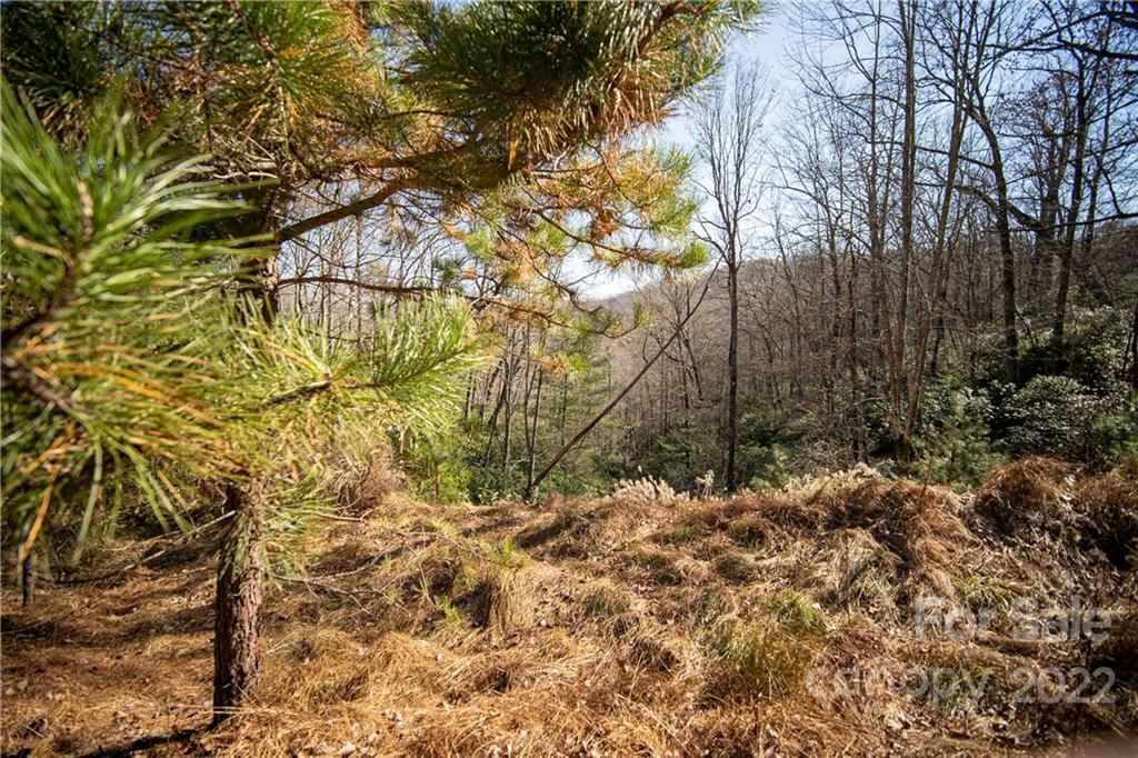 000 Mills River Way 101 Property Photo 12