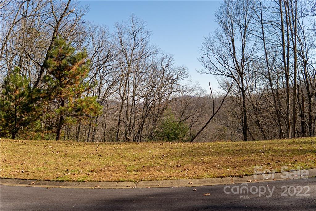 000 Mills River Way 101 Property Photo 13