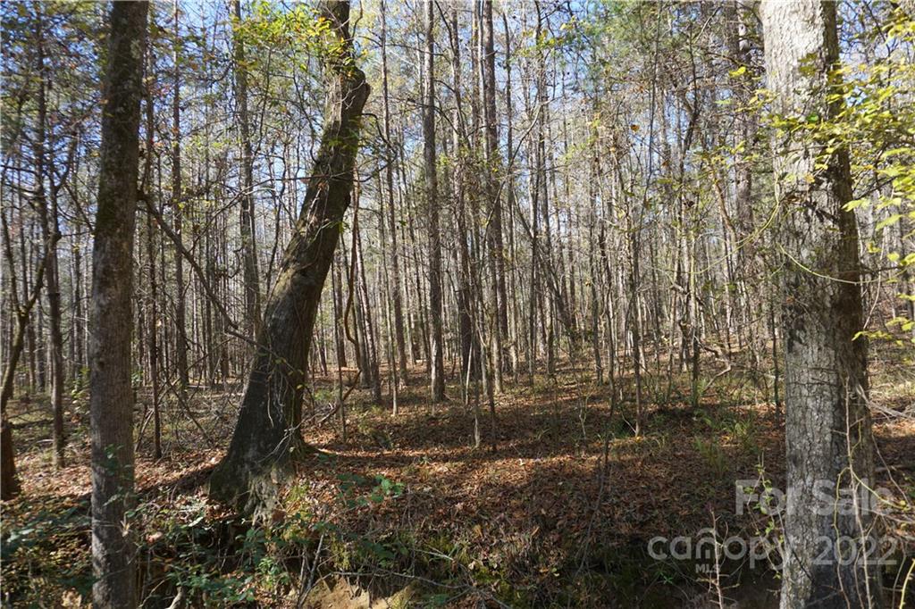 10.64 Ac Burree Road 6 Property Photo 1