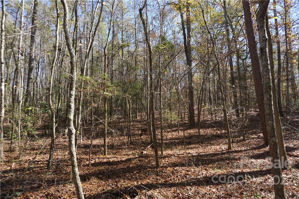 10.64 Ac Burree Road 6 Property Photo 2