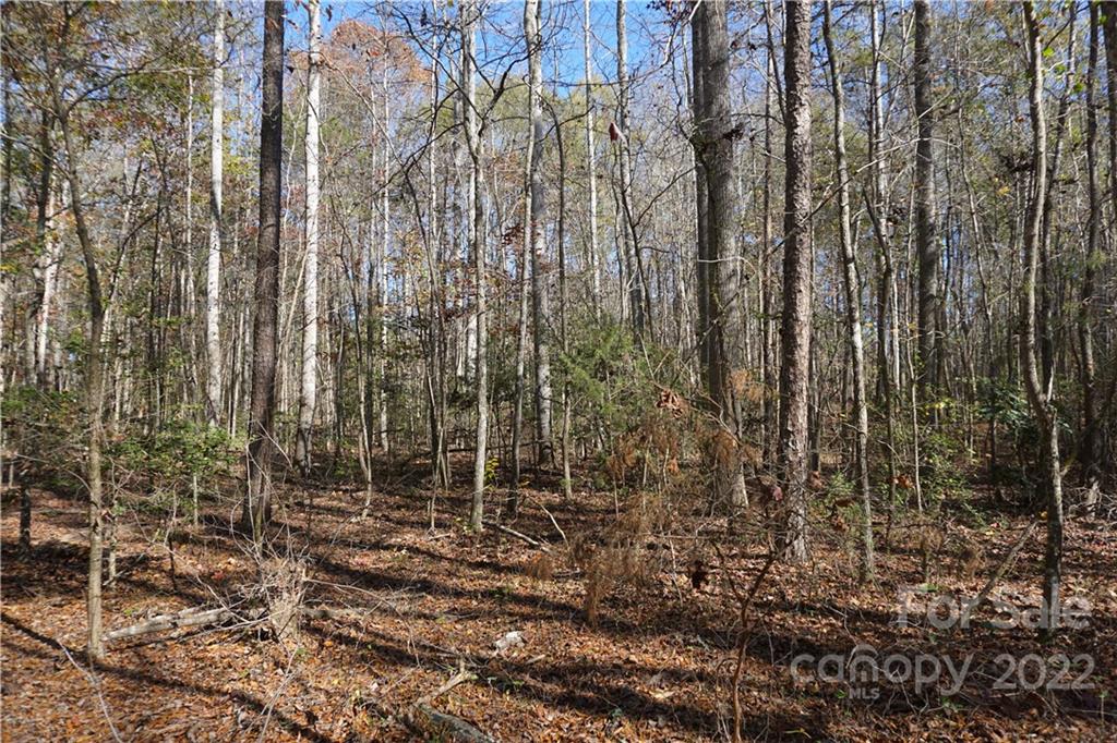 10.64 Ac Burree Road 6 Property Photo 3