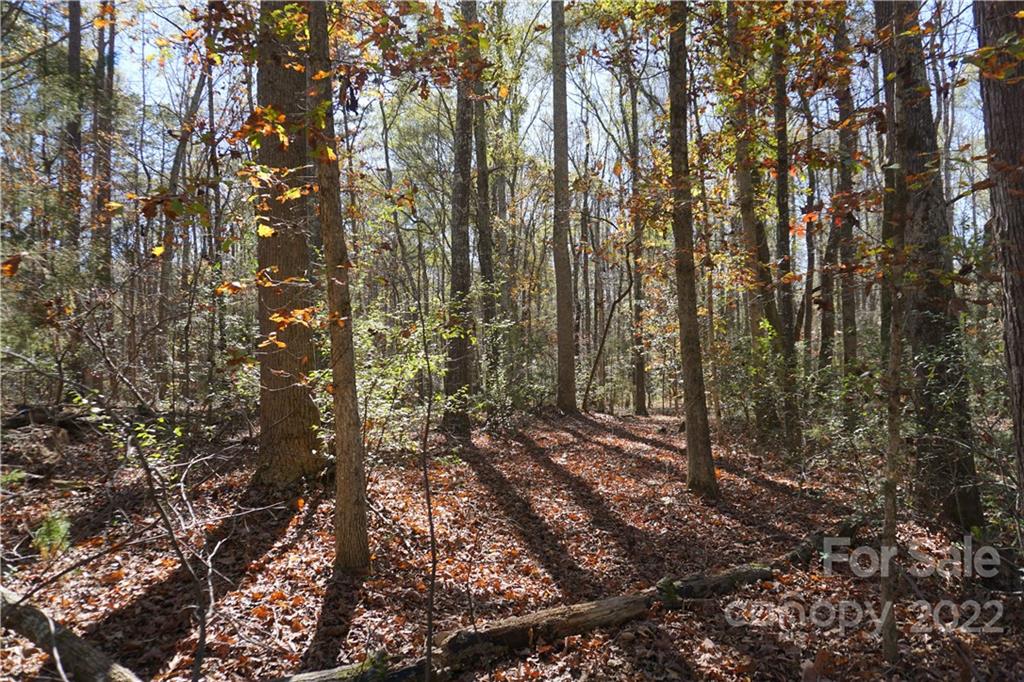 10.64 Ac Burree Road 6 Property Photo 4