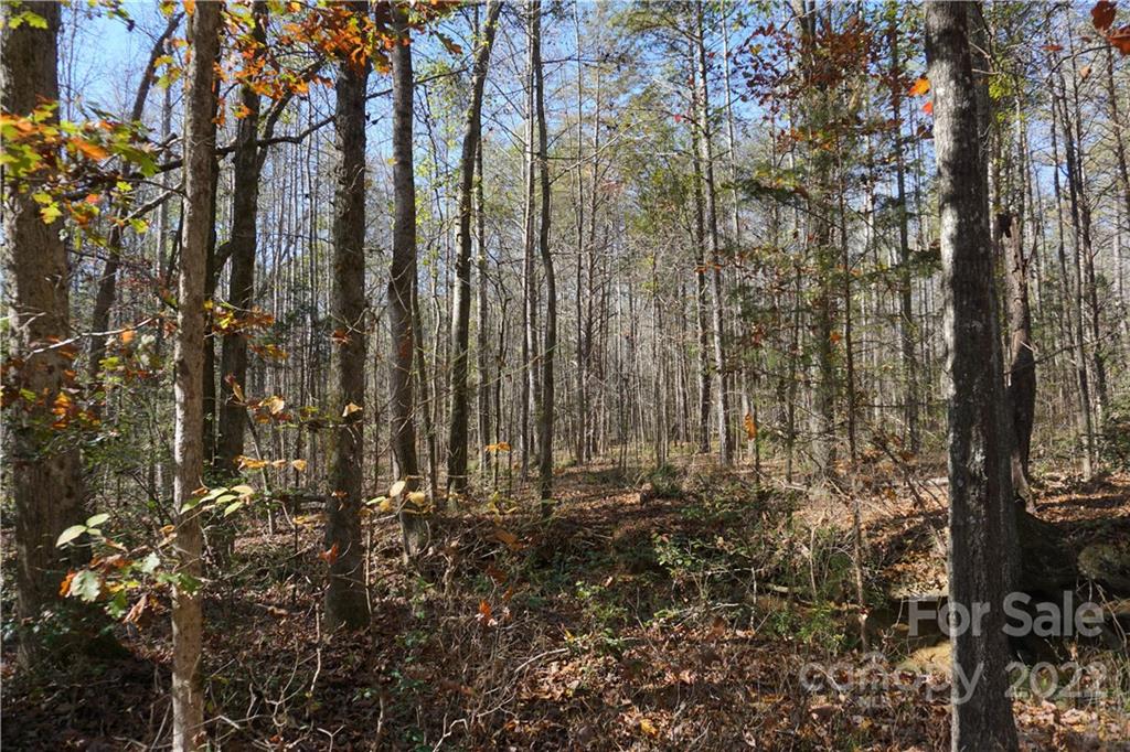 10.64 Ac Burree Road 6 Property Photo 5