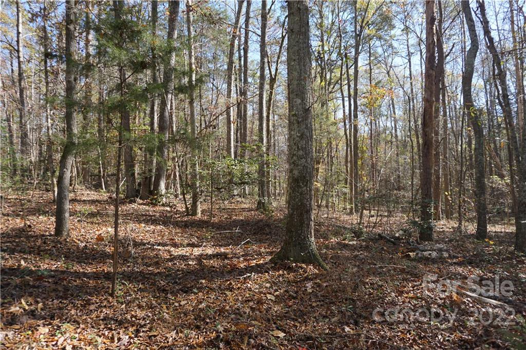 10.64 Ac Burree Road 6 Property Photo 6
