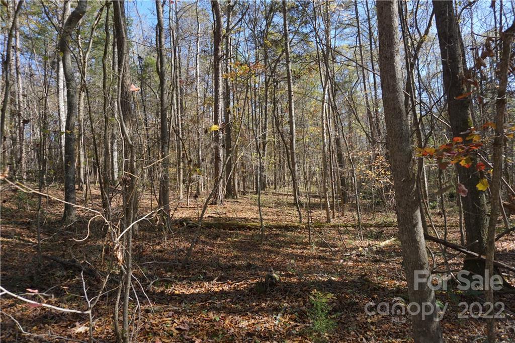 10.64 Ac Burree Road 6 Property Photo 8