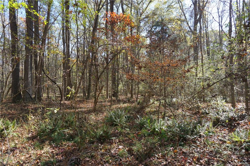 10.64 Ac Burree Road 6 Property Photo 10