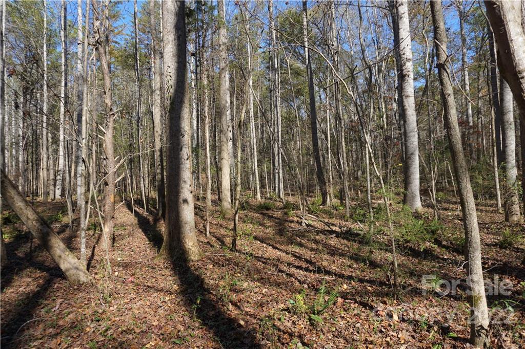 10.64 Ac Burree Road 6 Property Photo 11
