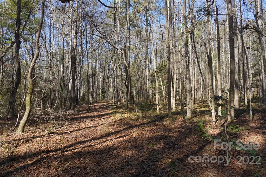 10.64 Ac Burree Road 6 Property Photo 12